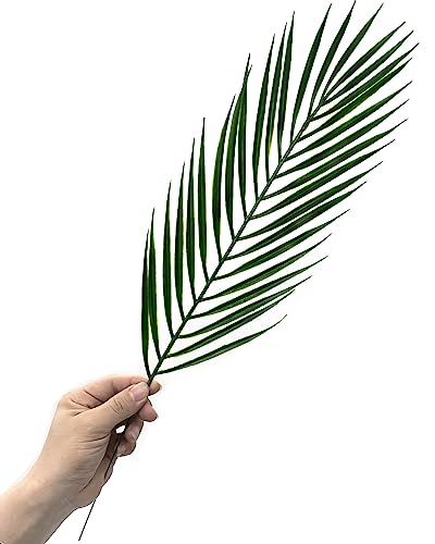 Artificial Tropical Palm Leaves Stems 12 Pcs, Fake Monstera Plants Areca Leaf Plants Faux Greenery Bushes Realistic Farmhouse Plant for Home Kitchen Garden Bathroom Decor Outdoor Indoor Decoration - color: Palm Leaves Stem -12 Pcs