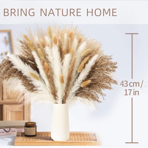 17 Inch Brown & White Dried Pampas Grass Bouquet, Bunny Tails and Reed Grass for Boho Rustic Wedding Decor, Living Room, Bedroom Styling and Holiday Decor - color: 61pc Pampas Gress