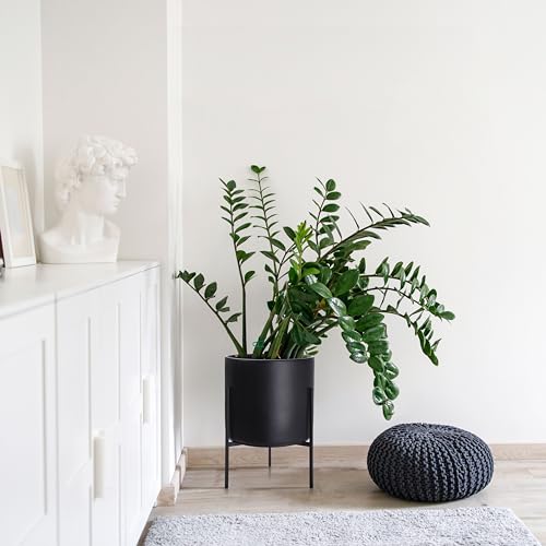 D'vine Dev Modern Black Plants Pot Cylinder Planter with Heavy Duty Stand, X-Large 14 Inch Pot, 19.6 Inch with Stand Height, 96-T-B-4 - color: Black, size: X-Large 14 Inch