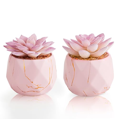 ZENIDA Artificial Succulent Plants in 2 Pink Ceramic Pots, Cute Fake Plants for Vanity Decor,Office, Desk, Bathroom, Kitchen,Bedroom, Shelves Decor for Women,Girls Gift - color: Pink