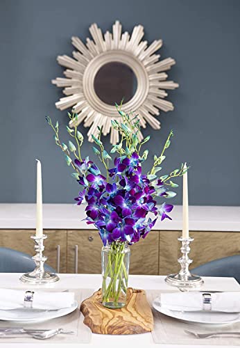 KaBloom - "National" Collection Exotic Sapphire Orchid Bouquet of Blue Orchids - Fresh Flowers for Birthday, Valentine's & Mother's Day - color: Blue, style: Without Vase