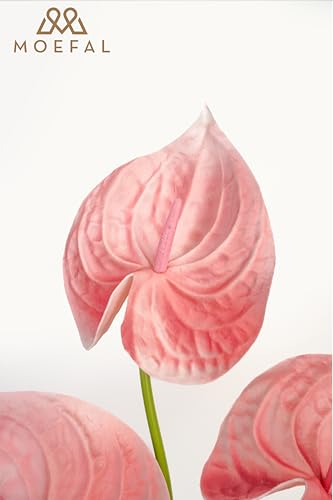 Real Touch Anthurium Artificial Flowers, 8pcs Shabby Blush Faux Tropical Flowers with Stems for Modern Wedding Bouquets, Elegant Centerpieces & Chic Party Decoration - color: Shabby Blush