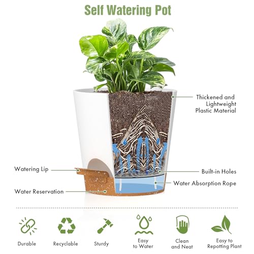 WSMKSZ 4 inch Self Watering Pots for Indoor Outdoor Plants, 6 Pack Plastic Flower Planters with Drainage Holes and Removable Saucers, Plant Pots with Wicking Rope, Modern Decor, White Brown - color: White Brown, size: 4inch 6pcs