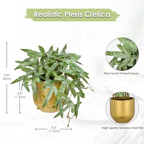 Briful Faux Plants Indoor 9'' Small Artificial Plant with Gold Pot Fake Pteris Cretica Fern Plant for Home Office Room Desk Shelf Decor Indoor - color: Gold