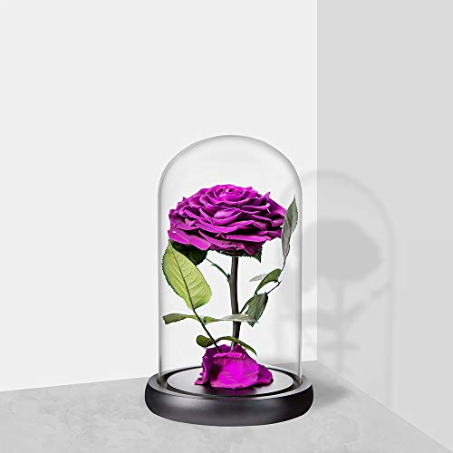 Purple Roses Handmade Rose in Glass Dome, Preserved Flowers Never Withered Romantic Gifts for Her, Mother's Day, Birthday Gifts for Women (9 inch, Purple) - color: Purple, size: Large
