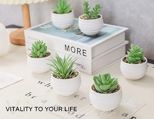 Der Rose 6 Pack Fake Plants Small Realistic Succulents Plants Artificial for Home Room Decor Indoor