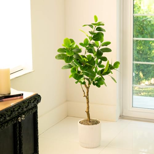 Nearly Natural 4ft. Artificial Audrey Ficus Tree