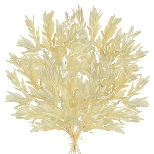 5 Stems Artificial Fall Greenery – 14.6" Olive Leaf Stems for Autumn Floral Arrangements, Thanksgiving Centerpieces, Fall Decor Bouquets, Soft Cream - color: Olive - Soft Cream