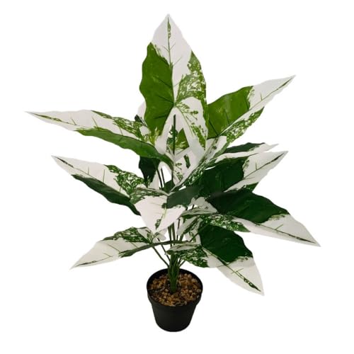Aglaonema Plant with Variegated Green and Red Leaves, Fake Tree Leaf Simulation Flower Bonsai for Party Decoration Artificial Plants Floor Home Room Decor Ornament (White No Flowerpot, 60cm) - color: White No Flowerpot, size: 60cm