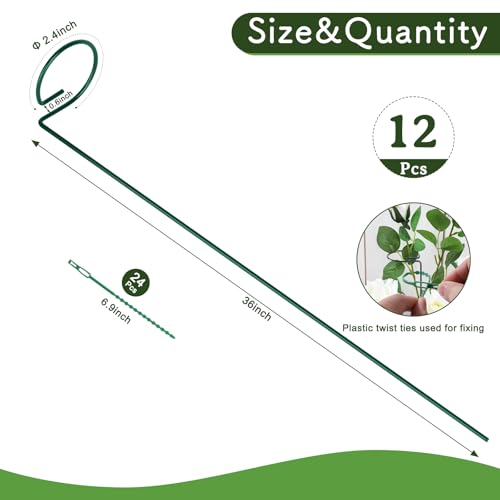 FEED GARDEN 36 Inch 12 Pack Plant Support Stakes, Metal Garden Flower Stakes and Supports for Outdoor Plants, Plant Stem Support with 24 Twist Ties for Amaryllis Lily Rose Peony Tomatoes Gladiolus - size: 36 Inch