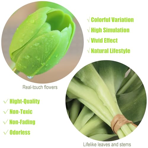 20pcs Artificial Tulip Flowers,16 Inch Real Touch Tulip Stems with Faux Leaves, Faux Tulips and Buds for Home Décor Centerpiece Ornament Wedding Bouquet,Green - color: Green