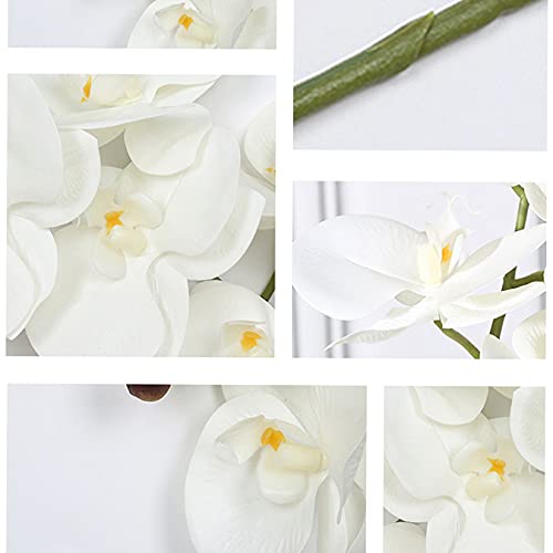 FagusHome 32" Artificial Phalaenopsis Flowers 5 Pcs Artificial Orchid Flowers Stem Plants for Home Décor