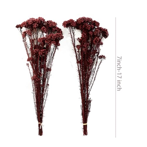 Natural Preserved Millet Flowers Dried Bouquet Flowers and Plants Arrangements for Home and Wedding Decoration (Wine Red) - color: Wine Red