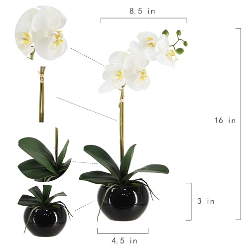 Orchids in Ceramic Pottery,Fake Orchid with Real Touch Stems, Faux Orchid Flowers for Artificial Flora Table Arrangement Centerpiece,Gift for Mom,Wife,Friends.Home & Office Decoration(16in White)