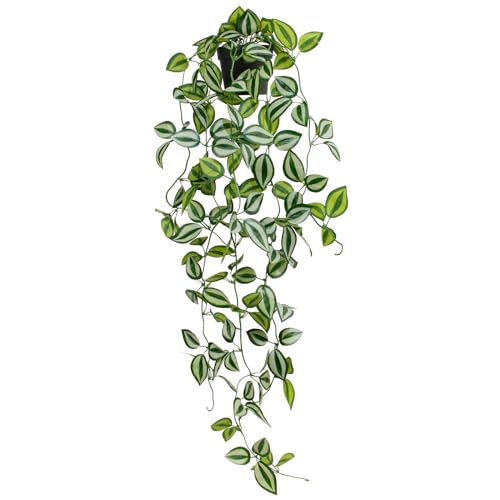 Artificial Plants Indoor Small Potted Hanging Vine plnat 39-in Long Fake Green Eyebrow Leaf Plant Faux Trailing Plant for Home Office Livingroom Desk Shelf Mantle Decoration (Black Pot) - color: Eyebrow