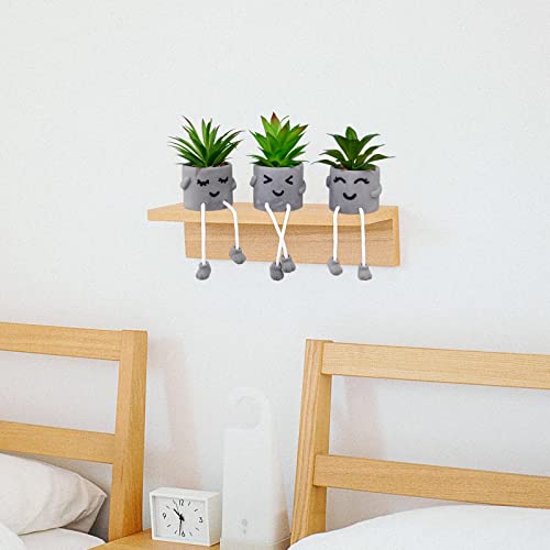 Creative Artificial Succulent Plants with Gray Pots Mini Potted Succulents Cute Fake Plants Succulents with Hanging Leg & Emotional Cement for Home Office Desk Decor and Gift Choice - color: 3set-smile