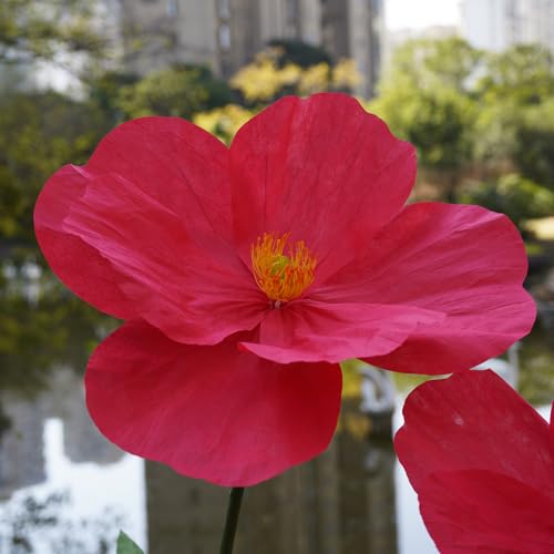 Large Paper Artificial Flowers,Giant Flowers for Decoration,Huge Handcrafted Poppy Fake Flowers with Stand for Home Decor Bridal Shower Party Outdoors Yard Event Backdrop Decor (red) - color: Red