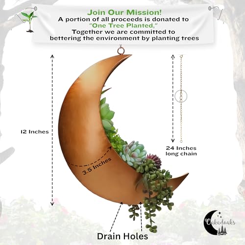 Gold Hanging Moon Planter – with Drain Holes - Moon Room Decor - Unique Planters for Succulents,Air Plant, Cactus, Artificial Plants- Plant Lover Gifts - Boho,Hippie, Birthdays,Witchy Gifts for Women - color: Gold Moon With Drain Holes