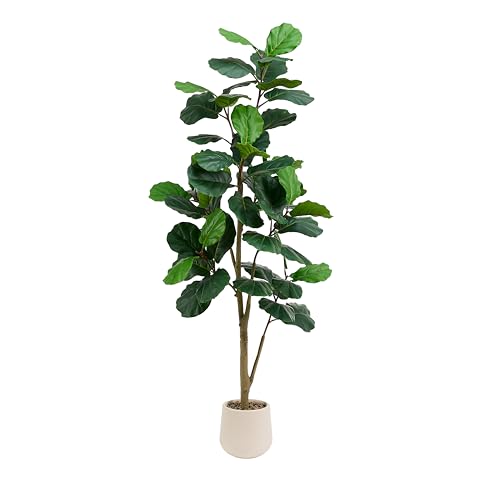 Artificial Fiddle Leaf Fig Tree 7FT, Large Realistic Faux Ficus Lyrata Plant with Pot Large Faux Plant for Indoor Outdoor Home, Office, Living Room, Bathroom Decor - color: White, size: 7 FT