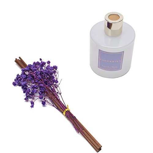 Cocorrína Premium Reed Diffuser Set with Preserved Baby's Breath & Cotton Stick Lavender Thyme | 6.76 Fl.oz Scent Diffuser for Bedroom Bathroom Home Décor - size: 6.7 Ounce/1pack