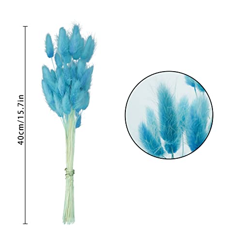Uieke 120 Pcs Teal Blue Natural Bunny Tails Dried Flowers, 17inch Dried Pampas Grass Decor, Boho Blue Flowers Home Table Decor, Wedding Decorations for Home - color: Light Blue-120pcs
