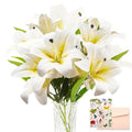 SNAIL GARDEN 11Heads Artificial Lily Flowers,Long Stem Faux Flowers with Buds,Tiger Lily Artificial Flowers for Home Hotel Flower Arrangement Party Decor