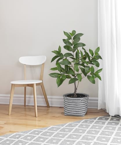 Briful 36.6" Artificial Faux Potted Tree Modern Farmhouse Real-Touch Plastic Greenery Plant Rustic Decor for Living Room Corner Entryway Office Home Small Fake Floor Tree with Black Pot - color: 36.6'' Tall-green