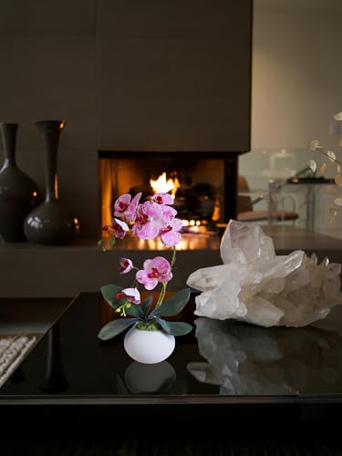 Forlaoers Purple 17" Tall Fake Orchids Small Artificial Plants Faux Flowers in Vase Silk Flowers for Home Decor Indoor Dining Room Table Centerpiece Floral Arrangements Decoration - color: A6:grape Purple Orchid With Vase