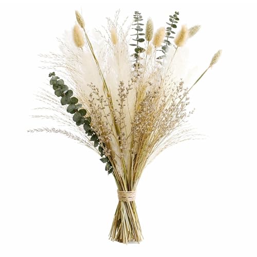 Musunny Natural Dried Flower Bouquet,17" Dried Flowers for Vase,Dried Floral Arrangements for Boho Farmhouse Home Décor Indoor with Pampas(Green) - color: Green