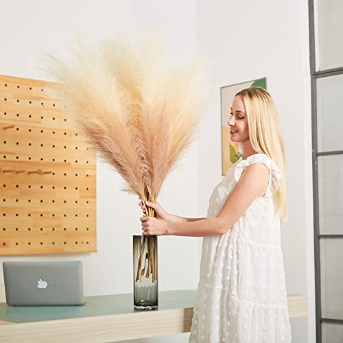 Faux Pampas Grass Decor, 6 Stems Artificial Pampas Grass - 43 inch Tall Pompass Grass Large Pompous Boho Flower Arrangement Home Decor for Room Wedding Party - color: Gradient-taupe