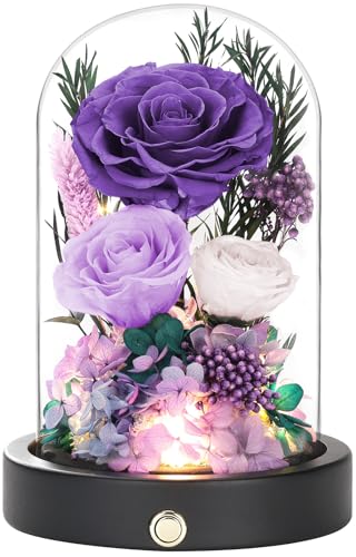 Preserved Flowers in Glass Dome, Purple Forever Roses for Delivery,Eternal Roses Valentines Day Gifts for Wife, Anniversary Birthday Gifts for Women Mom Girlfriend - color: New Purple