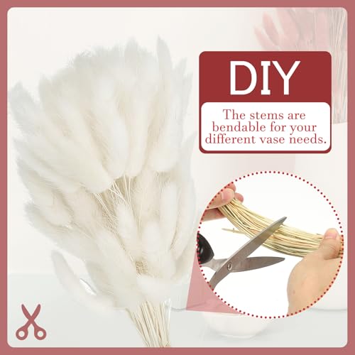 PATIKIL 15.7in Bunny Tails Dried Flowers, 80pcs Pampas Grass Decor Rabbit Tail Natural Pampas Grass Bulk Fluffy Faux Pampas Grass Dried for Home Boho Decor Vase Wedding Table, White - color: White