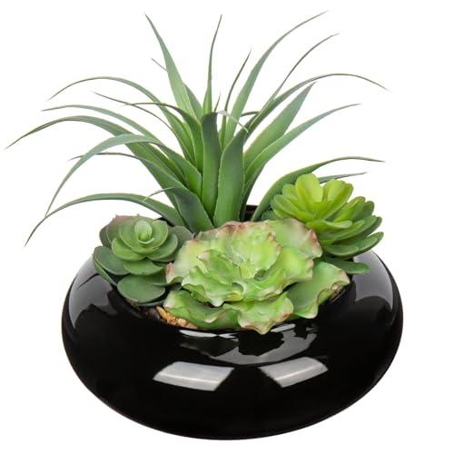 Large Artificial Succulents Plants Faux Succulents in Pots Fake Succulent Arrangement Potted Plants with Black Ceramic Pot for Office Desk Bathroom Shelf Living Room Indoor & Outdoor Home Decor - color: Large Black