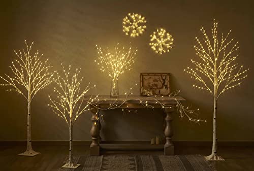 Hairui Lighted Branches 150L 8 Functions Warm White and Multicolor Fairy Lights 30IN for Room Easter Christmas Holiday Decoration - style: White Birch+ Multicolor 1set