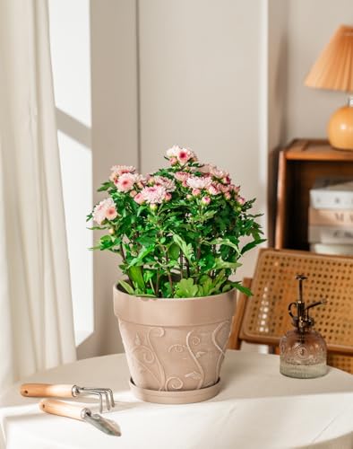 Melphoe Plastic Plant Pots Indoor with Drainage & Saucer, 2Pack 8 inch Flower Pots Outdoor Planters for Indoor Plants Garden Home Decor Cactus Succulent, (NOT-Terracotta) Vine-Embossed - color: Undecorated Pottery Color, size: 8''