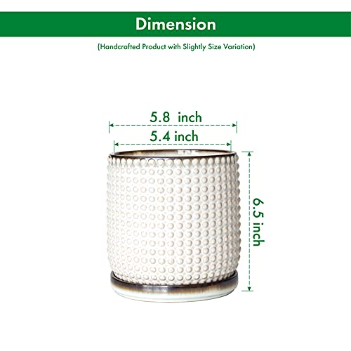 D'vine Dev 6 Inch Ceramic Beaded Stoneware Planter Pot - Flower Pot with Drainage Holes and Saucers for Indoor Succulent Plants or Flowers, Smoked White, 27-C-X-1 - color: Smoked White, size: 5.8 Inch