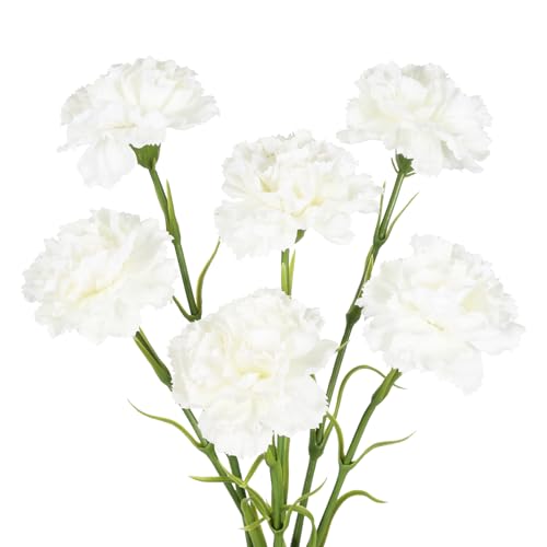 IPOPU White Carnations Artificial Flowers,6PCS Real Touch Fake Carnations 20'' Long Stem Faux Flowers for Tall Vases Home Wedding Party Table Centerpieces Decor (White) - color: White