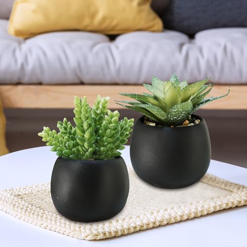 Winlyn Set of 3 Artificial Succulents Plants in Black Cement Planters Faux Potted Plants Aloe String of Pearls Donkey Tail Small House Plants 5" Tall for Table Shelf Home Office Bathroom Living Room - color: Black Cement Pots