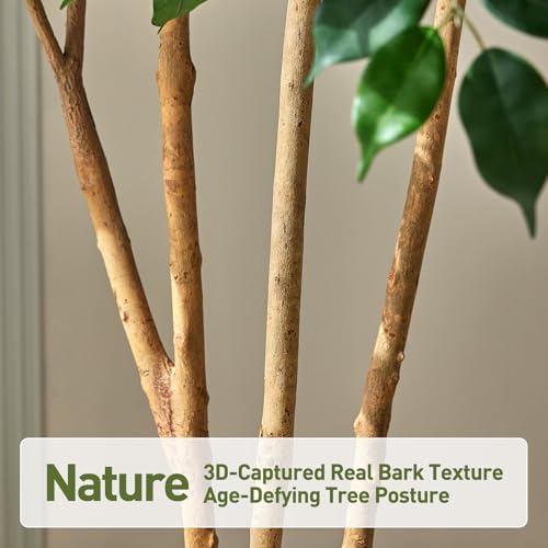 VeriNatural 6FT Artificial Ficus Tree with White Planter - Realistic Faux Ficus Tree with 900+ Silk Leaves, 3 Real Wood Trunks,Tall Fake Plant for Indoor Living Room, Office, Home Decor (72") - size: 6ft