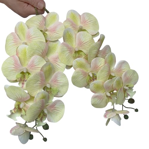 HinyoCo 5 Pcs Artificial Orchid Flowers and 4 Bundles Leaves, Artificial Phalaenopsis Flowers 32 Inch Stem Plants for Home Wedding Decoration (Light Green Pink) - color: Light Green Pink