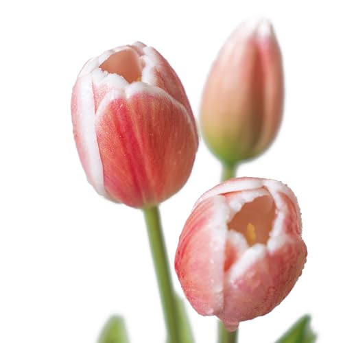 DUYONE 15Pcs Artificial Tulips Flowers, Soft Touch Realistic Latex Tulips Bouquet for Home Office Wedding Party Garden Decor, Fake Flowers for Centerpieces Dining Table Living Room Spring-B Coral Pink - color: B Style-15pcs Coral Pink (No Vase)