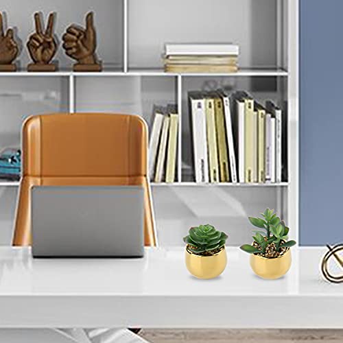 Briful Small Artificial Succulents in Pots Set of 2 Realistic Faux Succulents Plants with Gold Ceramic Pots Cute Mini Fake Plants Decor for Modern Home Table Office Desk Bathroom Shelf Decoration - color: Style #06
