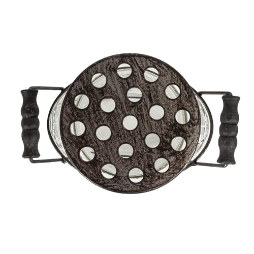 Creative Co-Op Glass vase in Metal Stand with Metal Frog Lid - size: Large