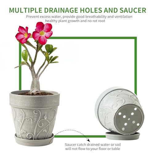 Melphoe Plant Pots Indoor with Drainage & Saucer, 2Pack 8 inch Flower Pots Outdoor Planters for Indoor Plants Garden Home Decor Cactus Succulent, Rigid Plastic (Imitation-Terracotta) Vine-Embossed - color: Cement Grey Color, size: 8''