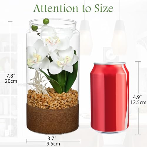 White Orchids Artificial Flowers with Vase, Small Faux Orchid Arrangement Fake Orchids Plant in Terrarium Jar Small White Orchid Centerpieces for Kitchen Dining Room Tables Bathroom Nightstand Decor - color: White + Brown Sand+white Root