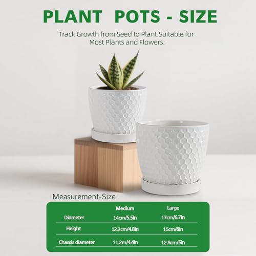 Docrin Ceramic Plant Pots Set of 2 (6.6"+5.5"), High-Fired Clay Indoor Planters with Drainage Holes & Saucer, Honeycomb Modern Home Decor for All House Plants - color: 1-white