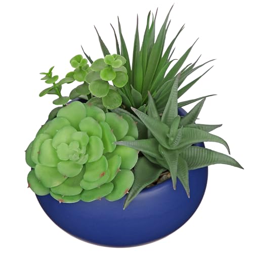 Fake Plants Artificial Succulents in Pots Faux Succulent Arrangement Potted Plant with Blue Ceramic Pot for Home Decor Modern Office Desk Bathroom Shelf Living Room Indoor & Outdoor Decoration - color: Matte Blue