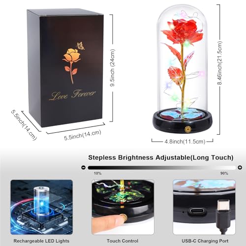 Mothers Day Flowers Gifts for Mom Women Birthday Gift, Rechargeable Galaxy Glass Rose in Glass Dome Forever Crystal Rose Flowers Mother's Day Roses Gifts for Mom Daughter Wife Women Grandma Sister Red - color: Usb-e Red