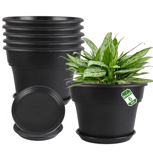 Myfeegoin 6-inch-Plant-Pots-Indoor-Outdoor, 6 Pack Plastic Planters with Drainage Holes & Saucers, Resin Flower Pots with Trays, Classic Garden Pot Container for House - color: Black, size: 6inch