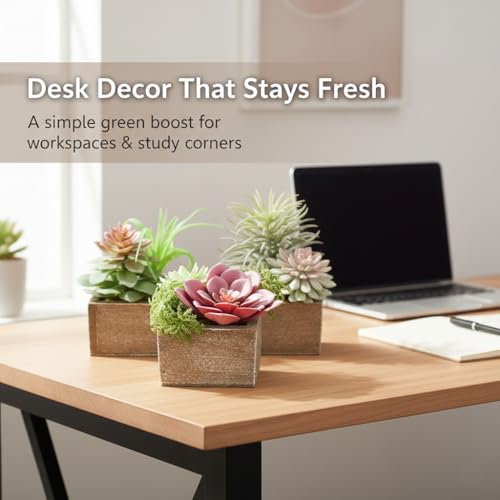 Succulent Plants Artificial, 3 Pack Small Fake Plants in Wood Pot for Home Decor, Farmhouse Artificial Plants Indoor for Living Room Bathroom Bedroom Office Kitchen Desk Wedding Coffee Table Decor - color: Symphony